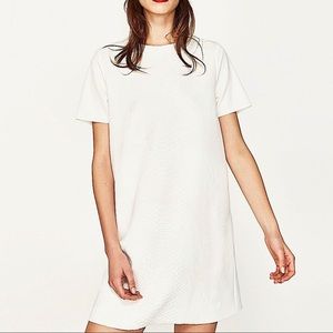 Zara White Textured Snake Skin T-Shirt Shift Dress - Large